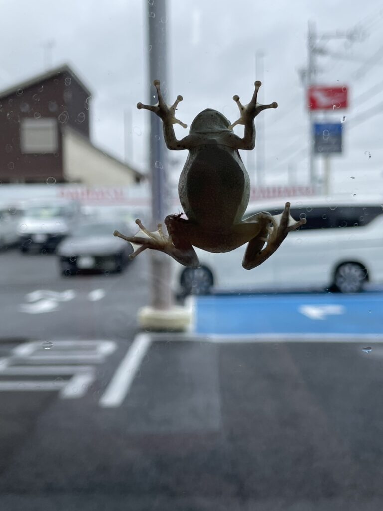 雨の日のお客様